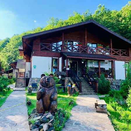 Chalet Vedmezhe Polyana  Εξωτερικό φωτογραφία