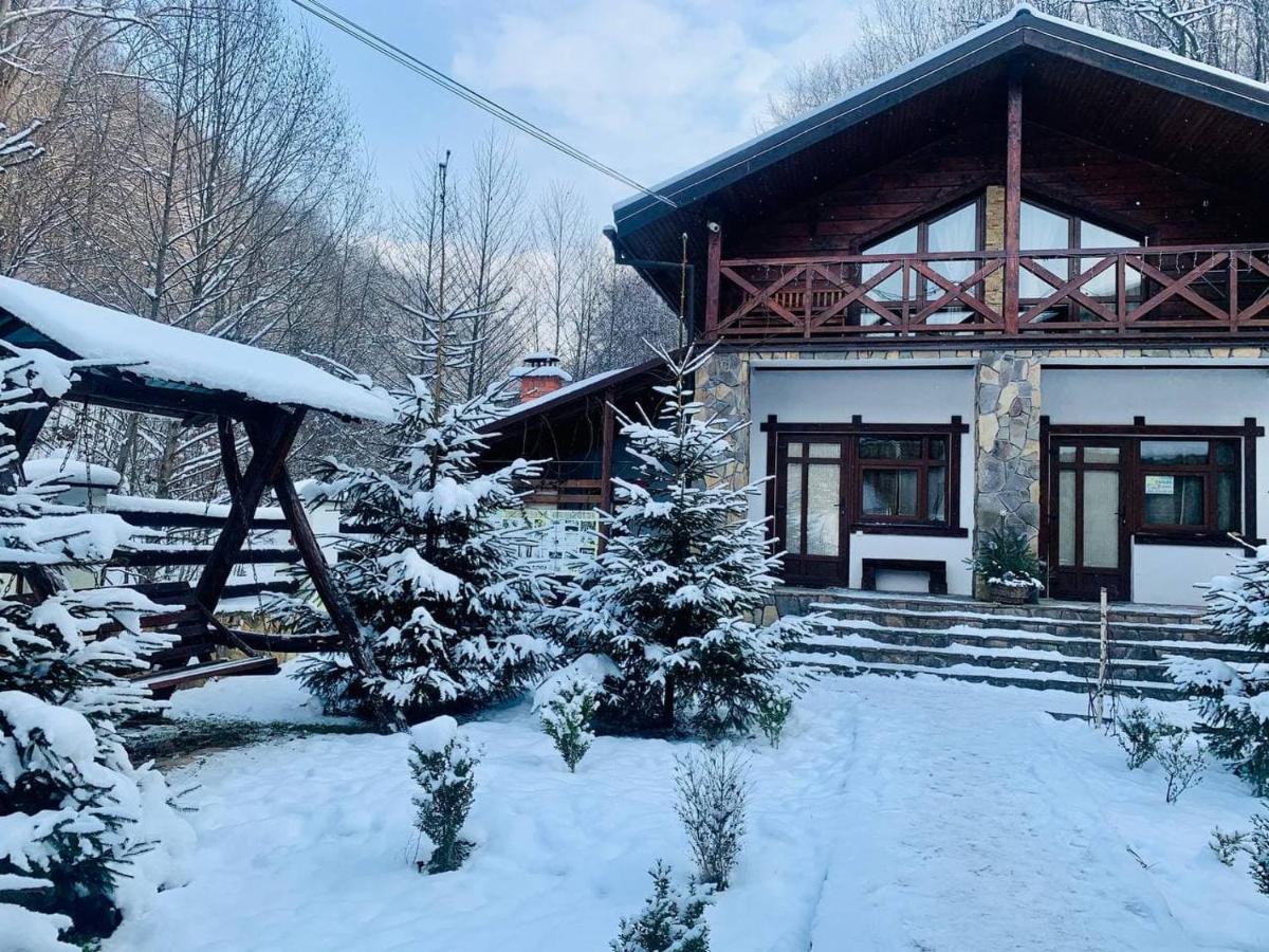 Chalet Vedmezhe Polyana  Εξωτερικό φωτογραφία