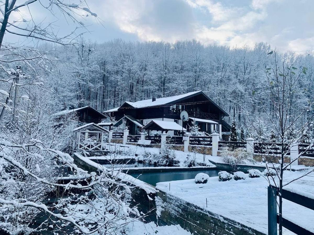 Chalet Vedmezhe Polyana  Εξωτερικό φωτογραφία