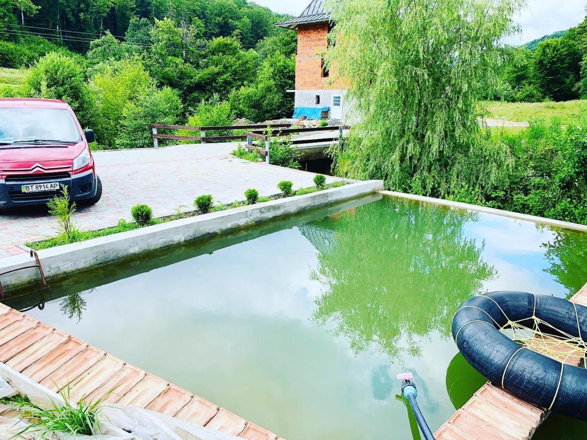 Chalet Vedmezhe Polyana  Εξωτερικό φωτογραφία