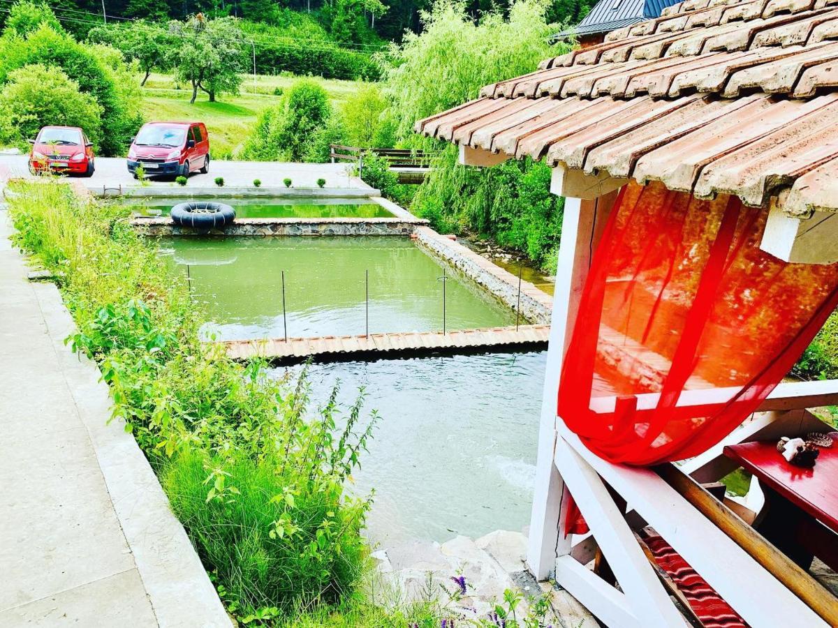 Chalet Vedmezhe Polyana  Εξωτερικό φωτογραφία